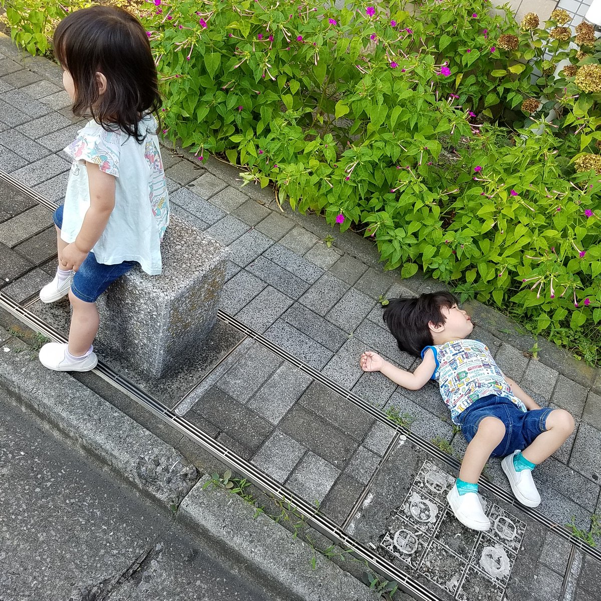 Leadxog's tweet photo. １枚目：イヤイヤ突入？で、帰宅拒否の双子 
２枚目：お散歩の予定だったのに、暑さにやられて秒で電車に乗り込む子供たち
こんなに大きくなったよ😂 https://t.co/50BU5c1lUy