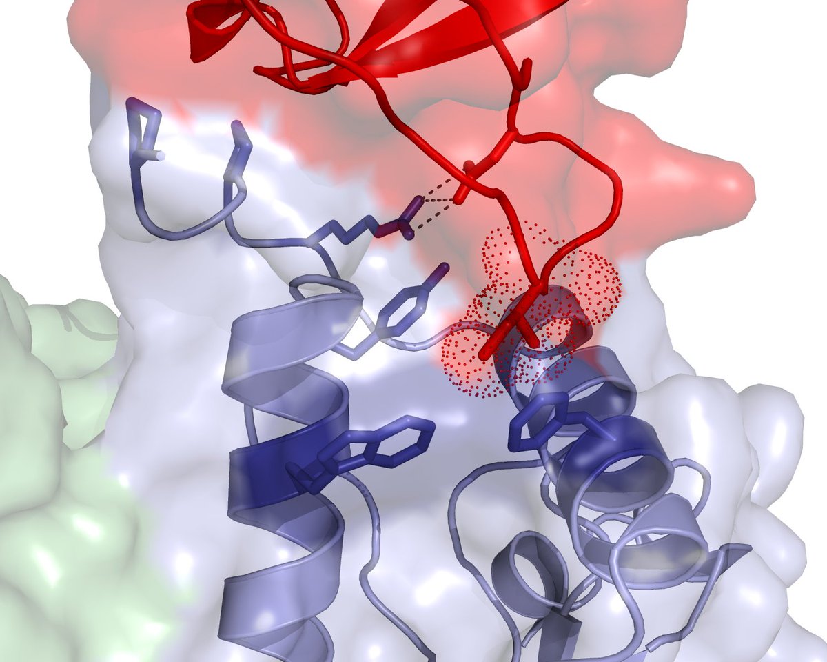Pitt_PMI's tweet photo. Interested in new antiviral drugs against #HIV? Meet Tom Smithgall #JoinPMI #structurebiology https://t.co/NN63biV8Al https://t.co/q3TvlrTYGe