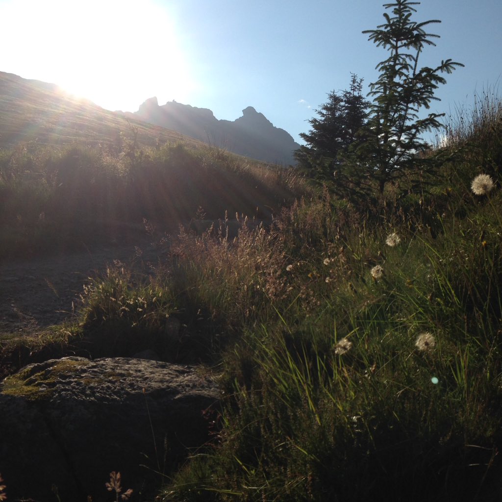 VioletBlyth's tweet photo. The cobbler https://t.co/kyynWGSuIf