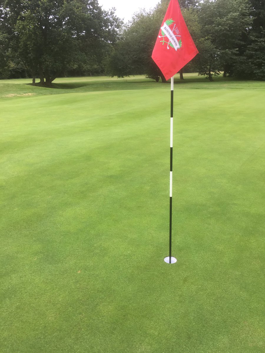 Ladies Southern Region Championship <a href="/bansteadgolf/">Banstead Downs Golf</a> today