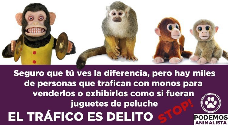 Hoy hemos aprobado por unanimidad prohibir la tenencia, compraventa y donación de primates entre particulares.    
  🐵🐵🐒🐒🐨🐨