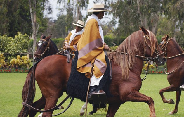 calgaryhispano's tweet photo. #EventosHCGY Marinera a caballo 🐴 y a pie para el #PerúFest2017 🇵🇪 en #Calgary #CaballoPeruanoDePaso. Info: https://t.co/nJXvQUvUOl https://t.co/Ge1Hgnyu7E
