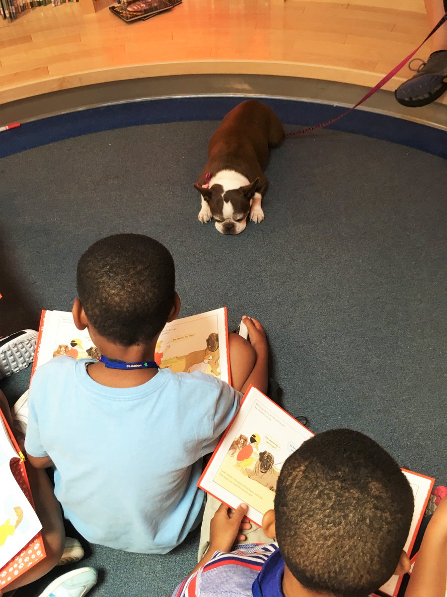 hjweinbergfdn's tweet photo. .@SummerREADS410 is in full swing at many of our @hjweinbergfdn libraries this summer! The kids are having a blast! #libraryproject https://t.co/BDfNhVdOBE