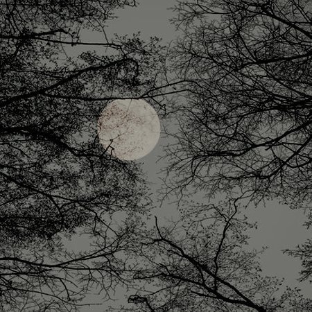 FlowcrPrince's tweet image. ➢ ＳＴＡＲＴＥＲ ＣＡＬＬ．

⠀⠀◜ If you'd like to plot a SL, like this tweet and I'll DM you to discuss! ◞