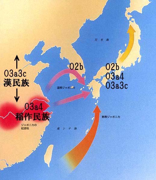 NewJapanBanzai's tweet photo. @m_y_1789 @tyln1923 @IlkayMka @Otlukbeyi @avukatbahatttin @zlem_77 @TRAliKurt @ese_eseyan @Aquaynah @b_hypatia @SuHa30672088 @48halikarnas @0513d663d9b3467 @musmulaci @fikirbazuka @Gokkhan_1 Japanese NOT altaic or ural-altay..... NO ALTAIC!!!
Japanese DNA total different!! we are ISOLATED or para-AUSTRONESIAN!!! fuck your altaic! https://t.co/5XUIRPBV6e