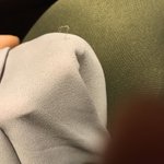 これ欲しい!飼い猫に服を引っ張られてもすぐに補修できるアイテムがやばい!