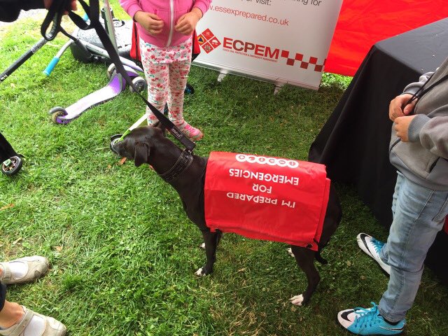 PreparedInEssex's tweet photo. Well the rain finally got us in #Maldon but we learnt grab bags can also be used as doggie coats #LotsOfUses https://t.co/E8Htoe9jTl