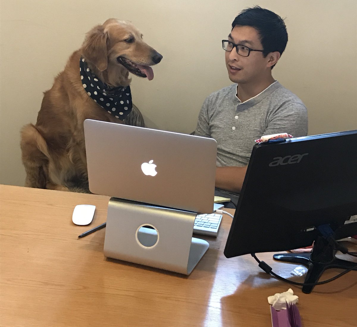 TeamBiss2018's tweet photo. When our digital director, @hanseldee, brings his dog, Chloe, to the office >>> #DogsForDaniel https://t.co/45khY98hzB