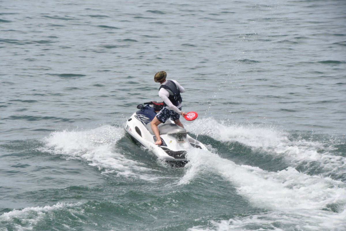 frsteveflynn's tweet image. I can't breakdance. Most of my tricks involve a frisbee.