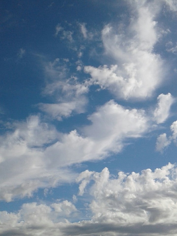 MistickFarm's tweet image. Back at work