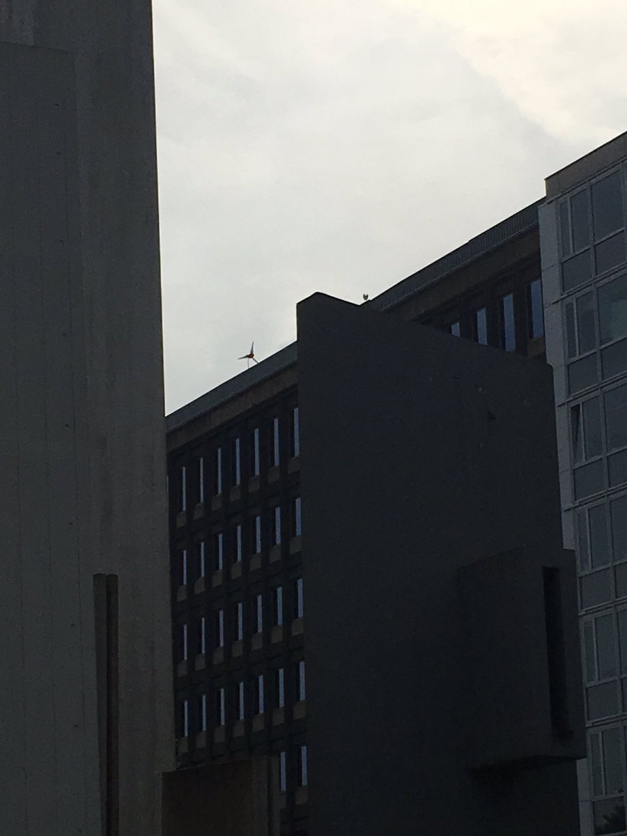 MarcoSteek's tweet photo. @HSchouffoer Bij de prov. @zuid_holland in @GemeenteDenHaag na anderhalf jaar welstand-discussie eindelijk vergunning! Er komen er nog 4 naast! https://t.co/kzFEaa1orP