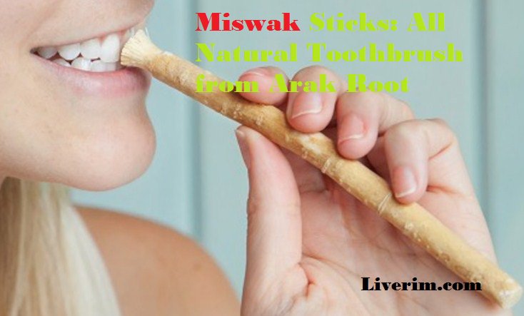 Liverimdotcom's tweet photo. 8 Health Benefits of #Miswak for #Teeth and #Gum
https://t.co/E8yDoe25g1
#dentalhealth #dental #toothbrush #Dentist #dentistry #toothcare https://t.co/U9MHQIxreL