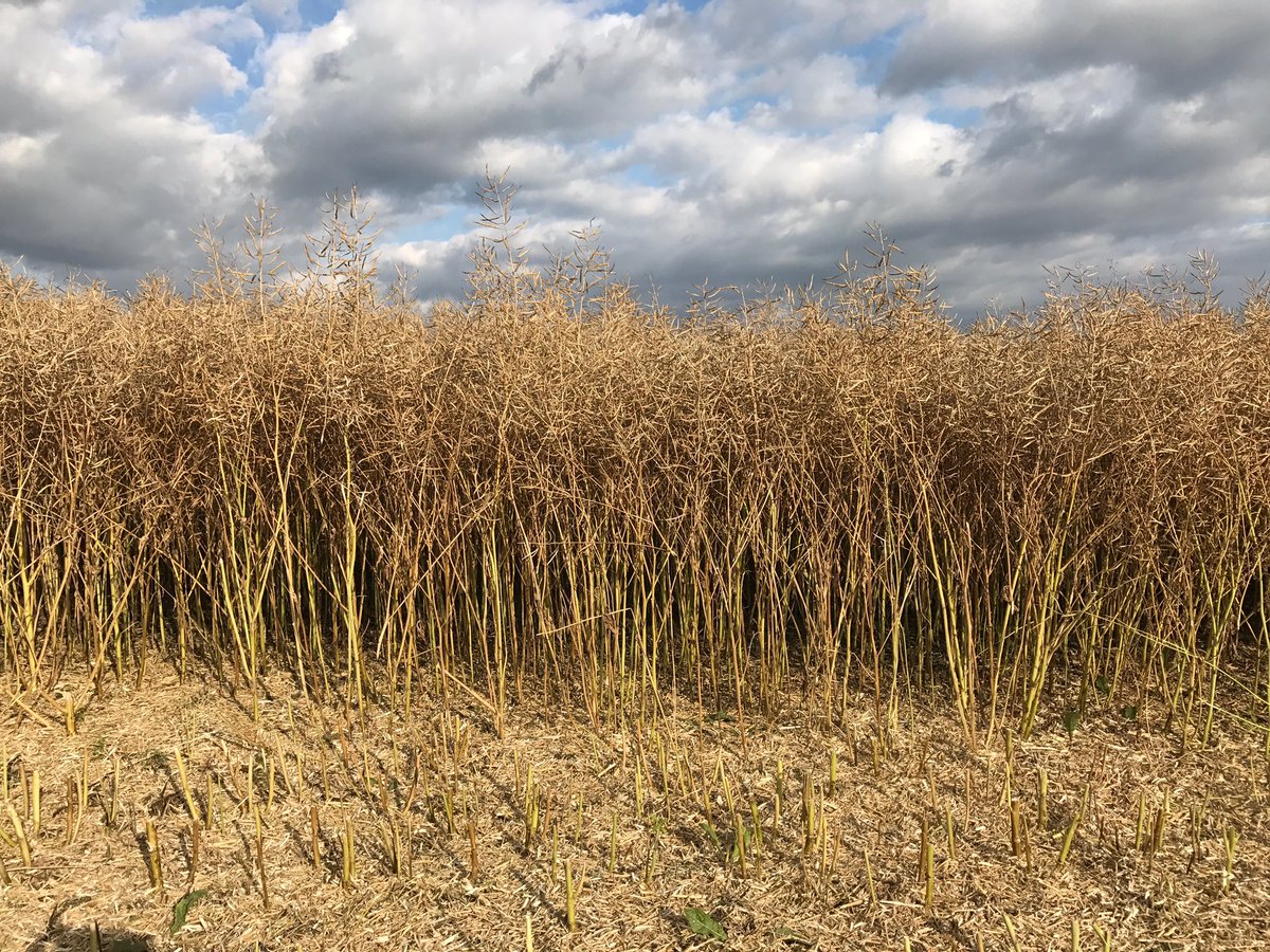 Looking good will soon know how well it's done