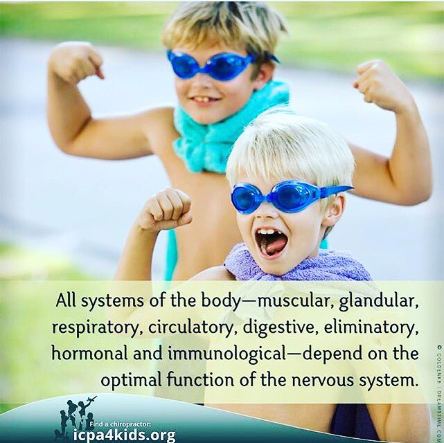King_Chiro's tweet photo. As Chiropractors we work to ensure your nervous system is working optimally, helping you live life to its #MAXIMUM!@icpa4kids #Chiropractic https://t.co/H9CqxD8TzZ