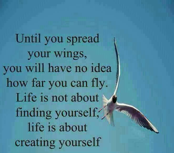 spbhattacharya's tweet photo. #Life #FlyToLive https://t.co/4kw3H9spaf