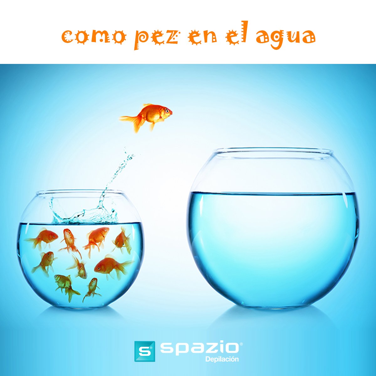 SpazioDepila's tweet photo. #Verano #comopezenelagua #depilación #láser https://t.co/ujMKlntpd0