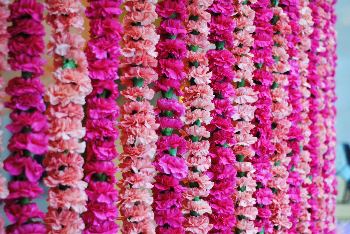 Beautiful carnation strings for our clients sangeet! #dandmevents #eventprofs #weddings #ritzcarlton