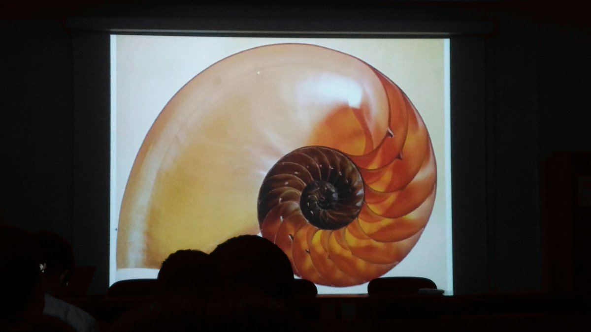 rossellaspiga's tweet image. a lezione di #geometria con #odifreddi 
#shanghaitech summer school @AsiagoIt