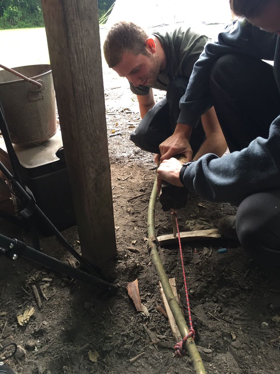 Sarah Evans tweet media