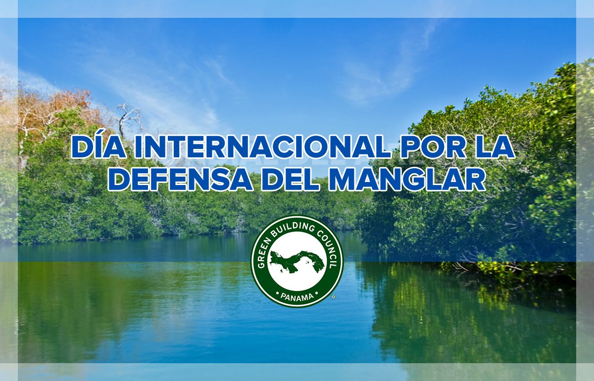 Si los #manglares sufren daños el balance de la #biodiversidad puede alrerarse #ProtegeTuManglar 🏞