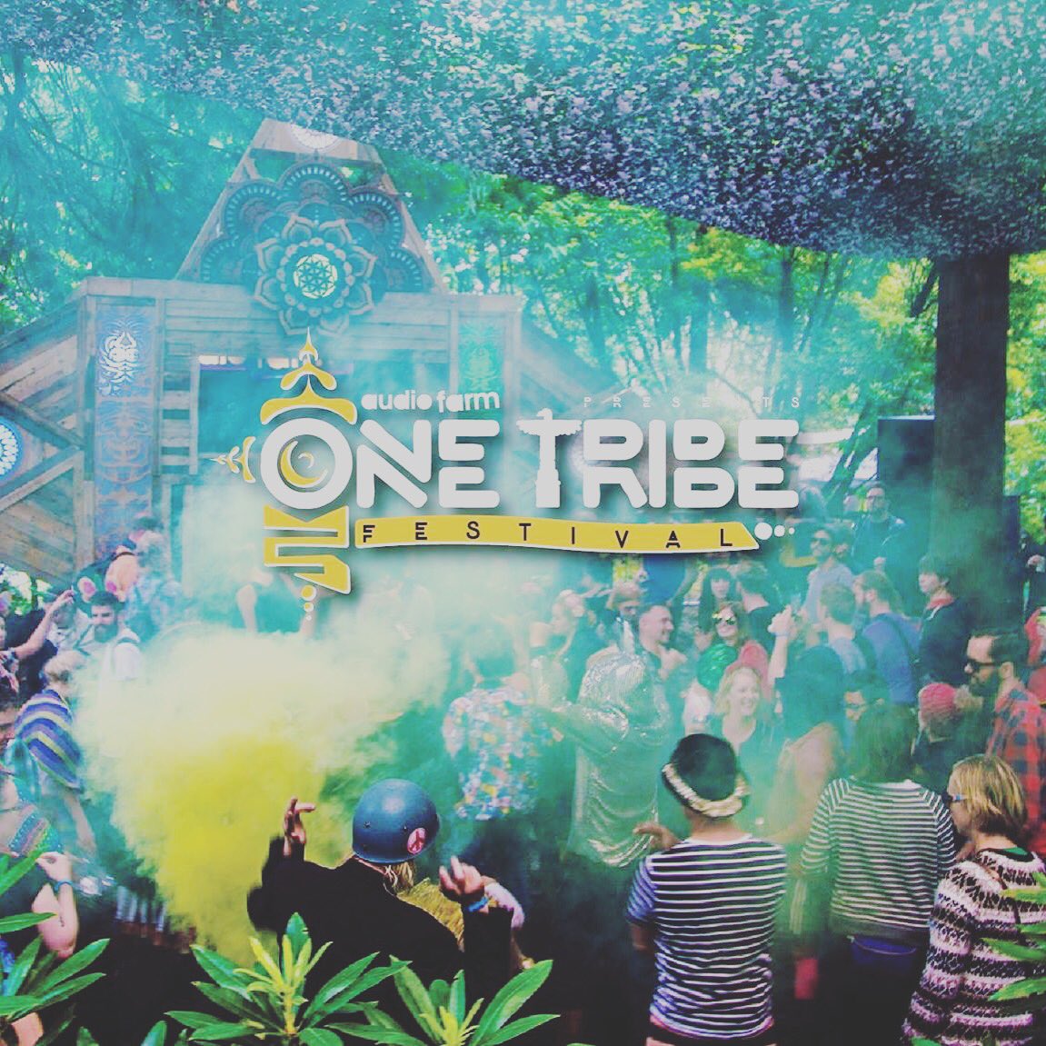 Gemma Arnott tweet media