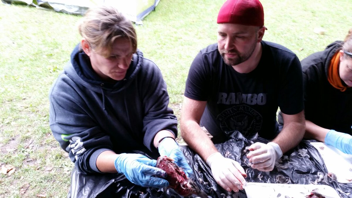 Sarah Evans tweet media