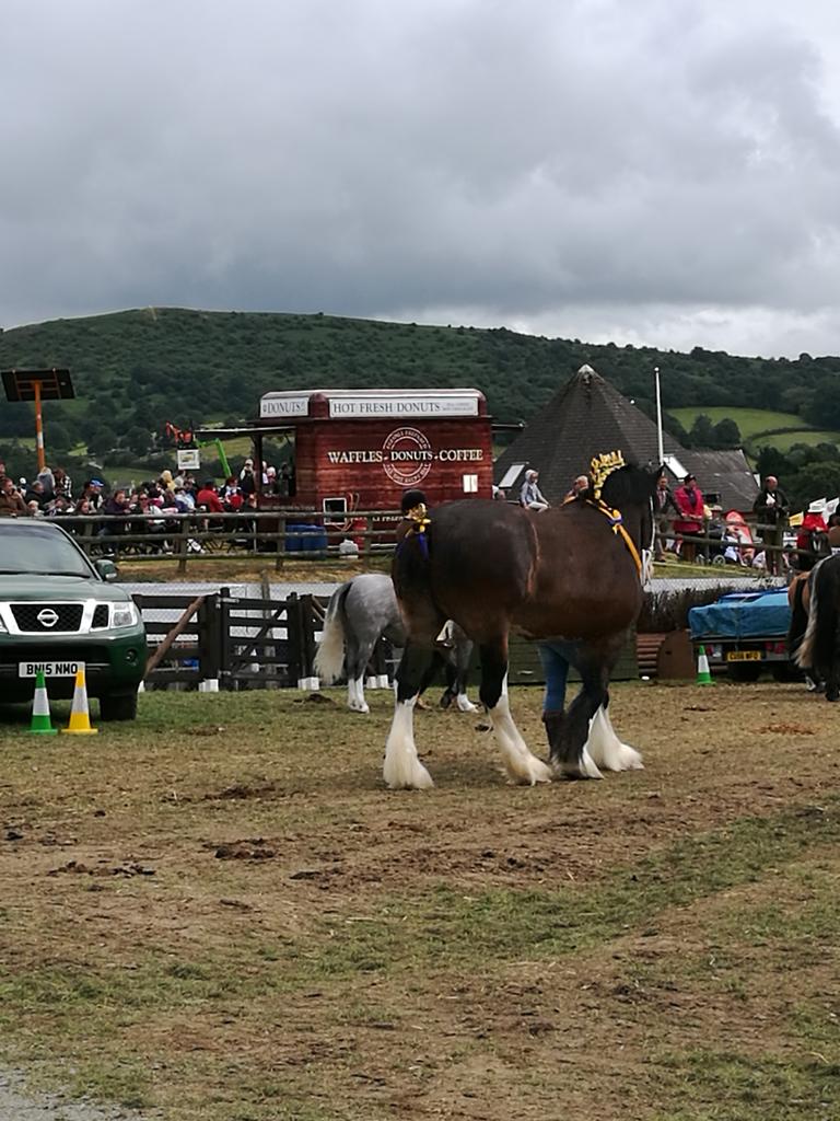 SianMJones1's tweet photo. Fantastic day at the royal welsh #familytime #love #findyourepic. @royalwelshshow @visitwales https://t.co/ylj5mcdbZi