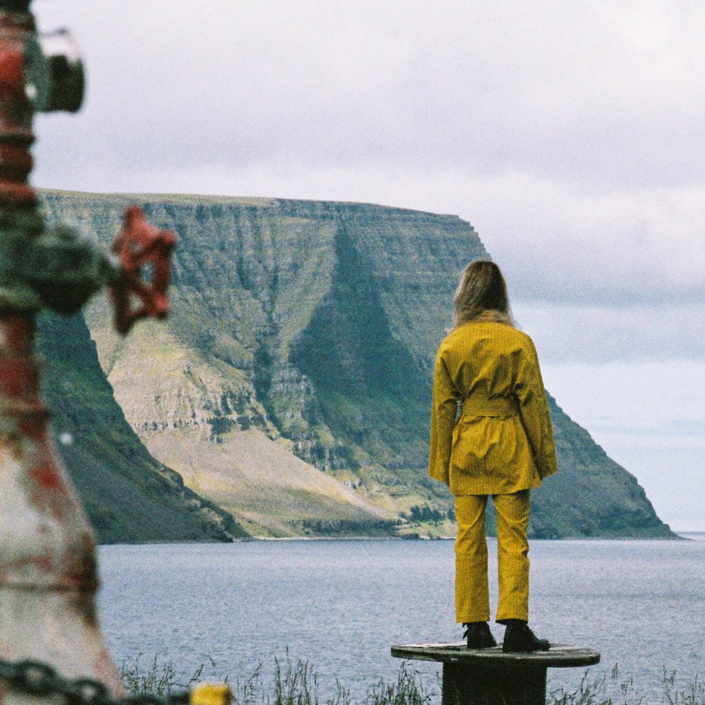 DAMIR DOMA tweet media