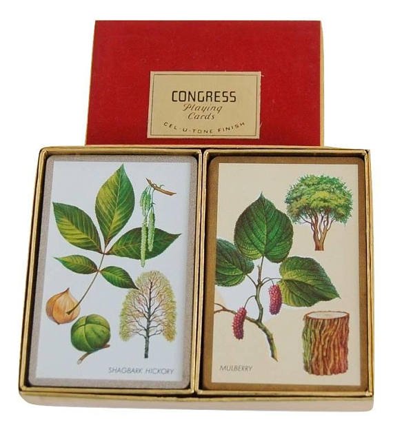 vivaterravintag's tweet photo. #VintagePlayingCard #CongressCards #CelUToneCards #BridgeCardGame 
$15.00
➤ https://t.co/FM1Xs7Npm1
via @outfy https://t.co/PvHuGQvwZn