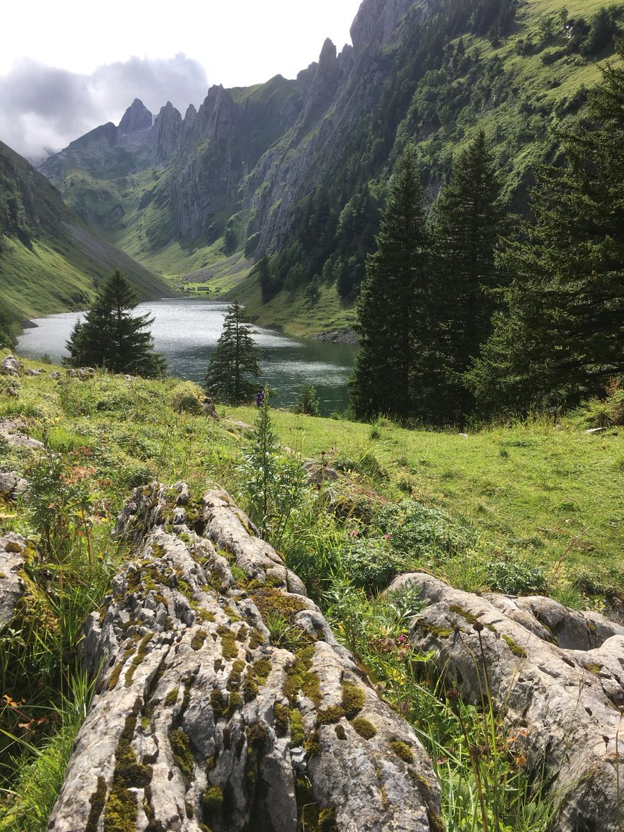 Erste Sonnenstrahlen nach vier Wander-Regentagen: Fälensee AI
Bild: Peter-L. Meier, Wandermagazin SCHWEIZ