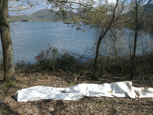 valledelsacco's tweet photo. allarme rosso per il #lago di #Canterno in secca, lo specchio d'acqua è in condizioni davvero critiche https://t.co/P1O8L1yagh #ambiente https://t.co/NWv85nJobS