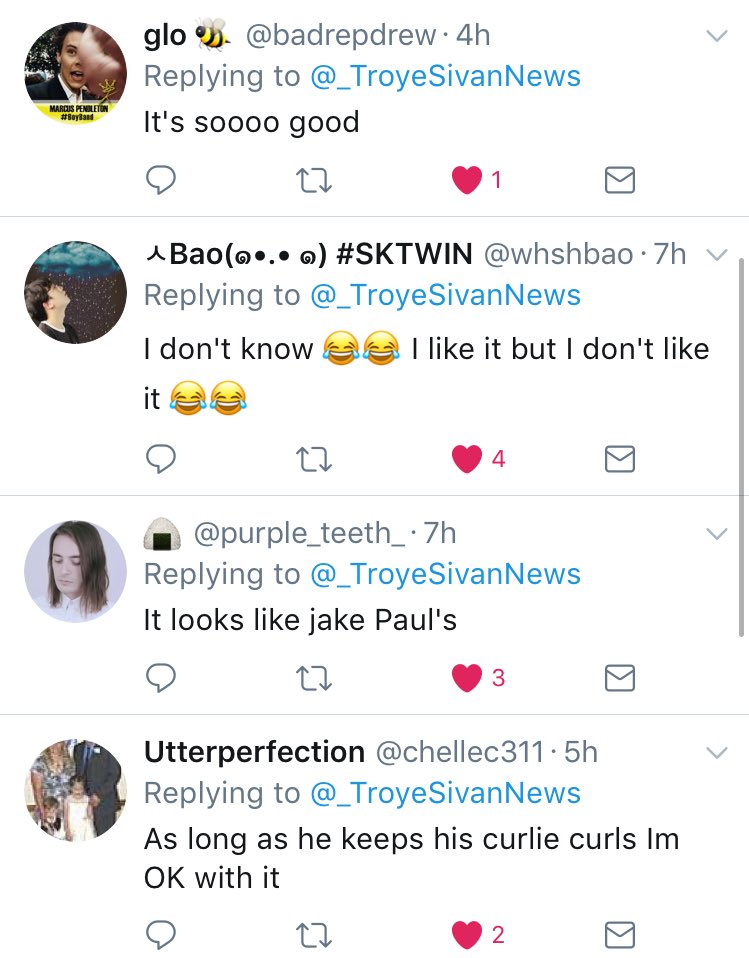 TroyeSivanVotes's tweet photo. Some reactions to TROYES NEW HAIR! https://t.co/SnytXVBzmf