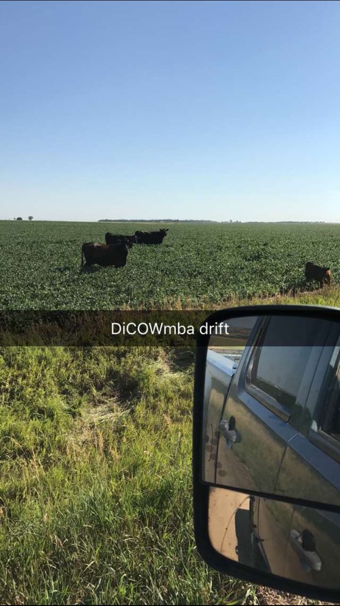 Hopefully the neighbor understands😳