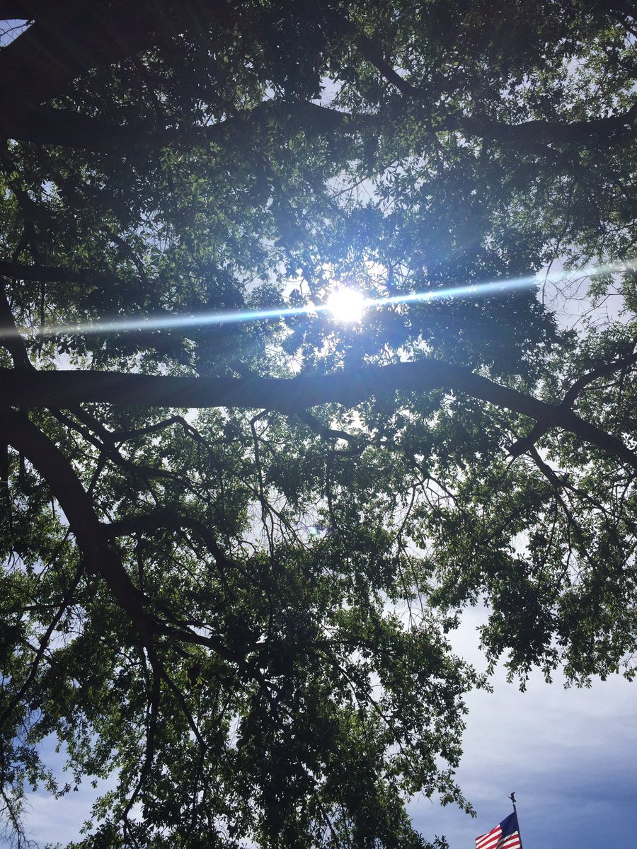 KatieVKLTV's tweet photo. Summer in Texas: when the "best" parking spot isn't the closest - it's the one in the shade! #TexasWisdom https://t.co/jsozcF5ori