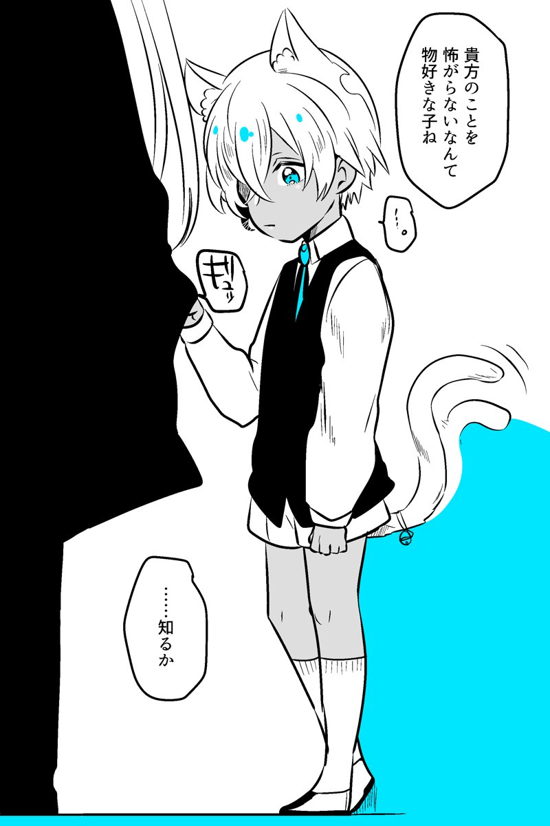 こねこ 