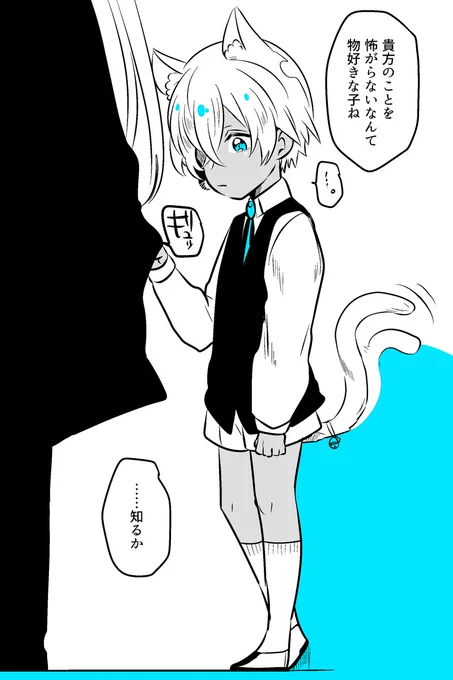 こねこ 
