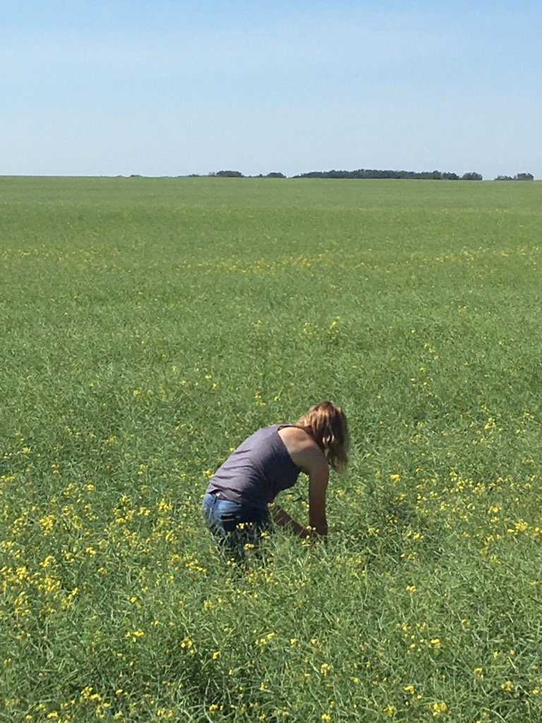 CattleNut's tweet photo. Catherine checking for Diamond Back's this morning. Keep your eyes open. #blairs https://t.co/EyaVY09AZB