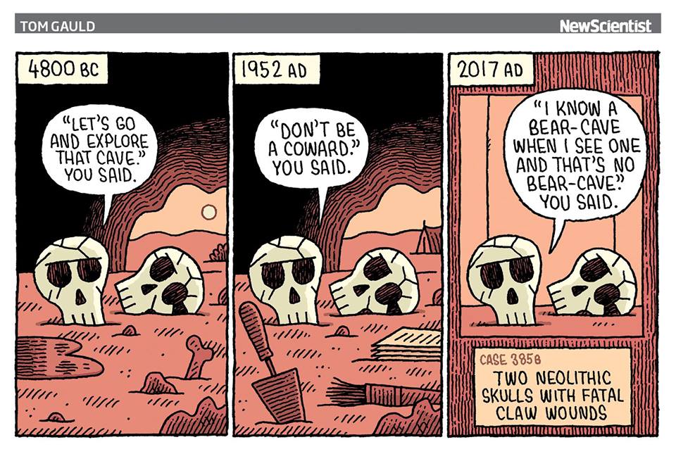 PaleoAnthropology+ (@qafzeh) on Twitter photo 