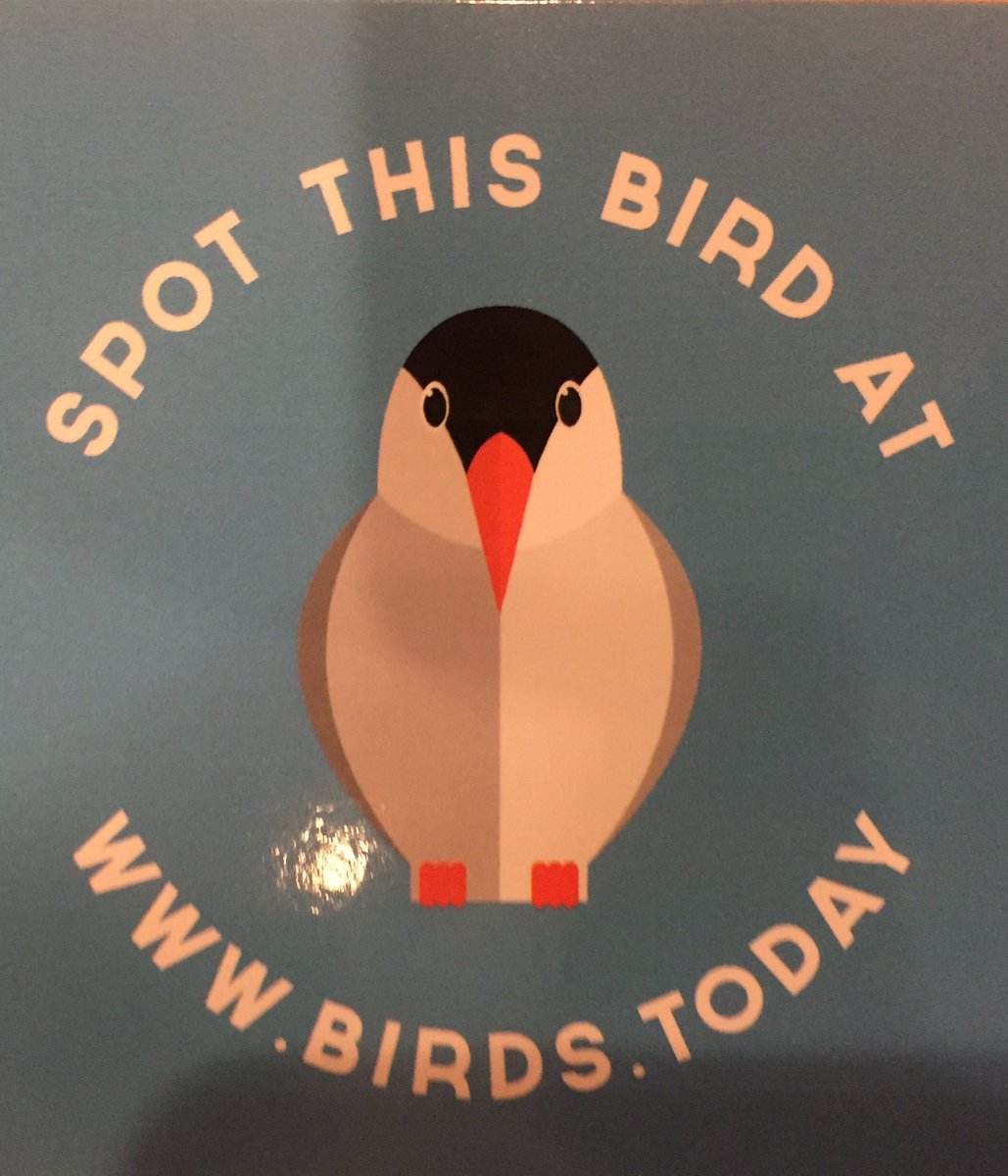 Toon's tweet photo. Truly impressed by Open Summer of Code 2017 graduates:
1/ Spot your bird of the day at https://t.co/7Urnzz8vgZ !
#biodiversity #oSoc17 #iot https://t.co/OlEUQzNanq