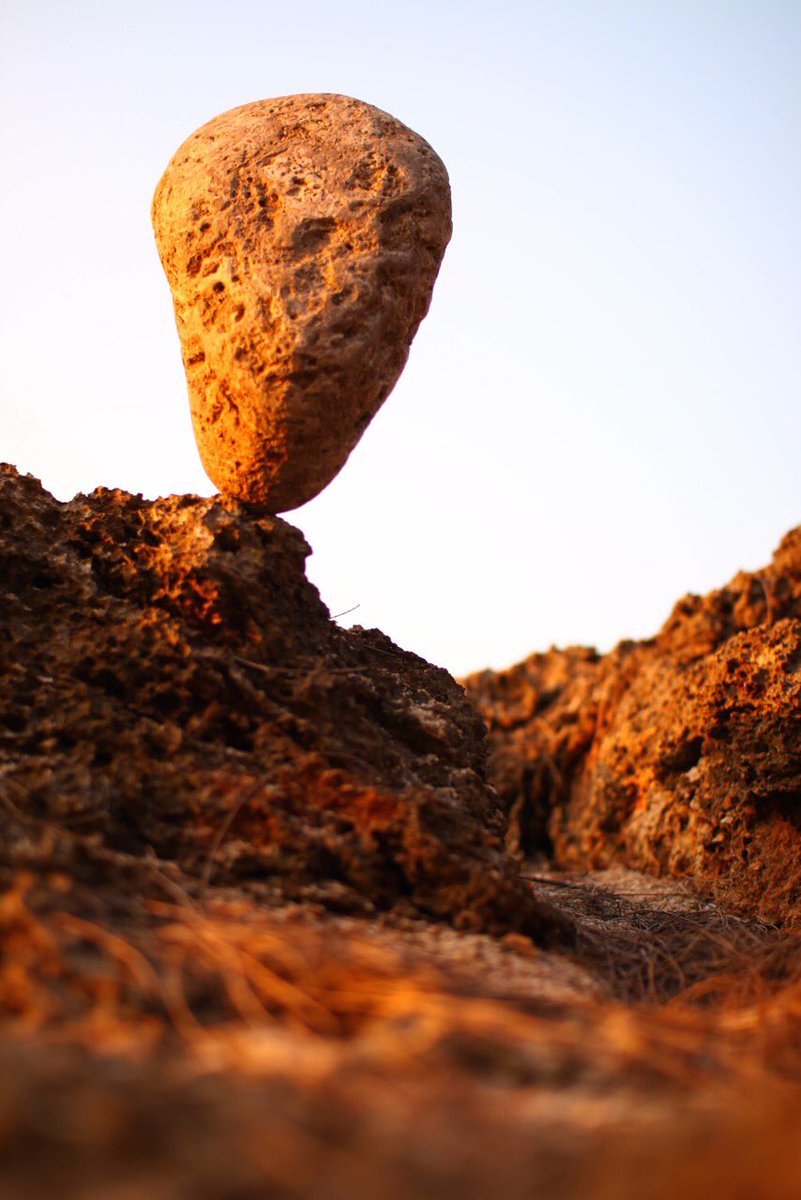 OpenLensPhotos's tweet photo. Skull on Mars ☠️
#abstractphotography #deadnature #skullart #lifeonmars #candidphoto #candidnature #naturefunny 
OpenLens.ie 208/365 https://t.co/ZktJ4Pd3HW