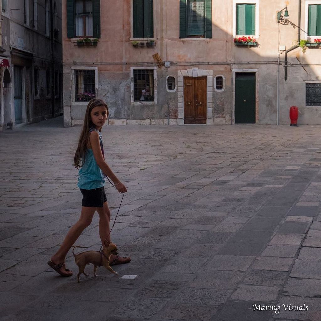 togetherinstyle's tweet photo. Meanwhile in #Venice #italy #series by @jennifermaring of #maringvisuals #togetherinstyle #dog #dogwalking #chiwaw… https://t.co/CkyH4fBILU https://t.co/PLRmIj434I