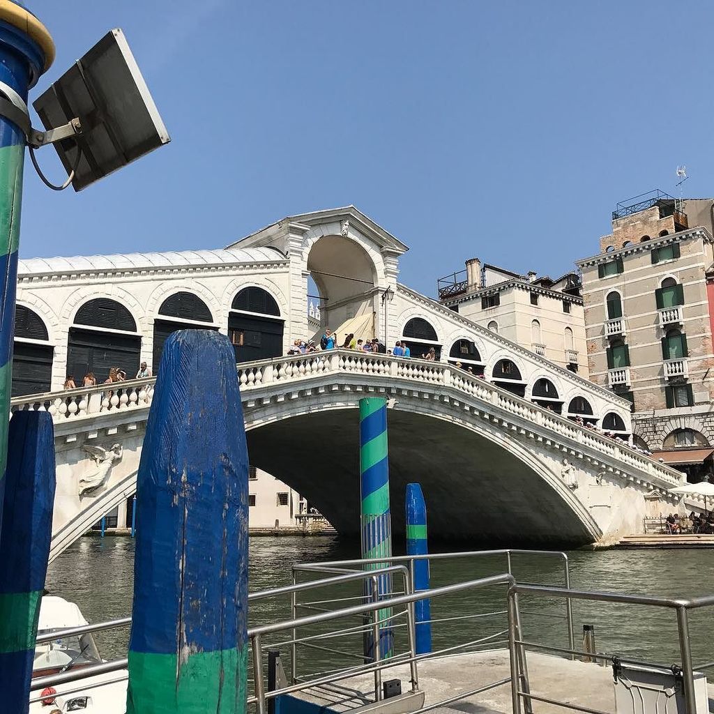 JudyAndSimon's tweet photo. Rialto Bridge Venice #italy #venice #travel #travelblogger #instatravel #travelphotography #judyandsimon #sabbatic… https://t.co/W6AVhuKbAw https://t.co/8qeDoxs2Uc