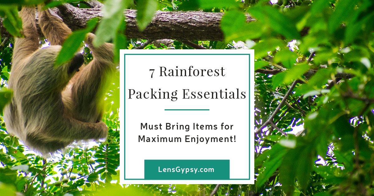 LensGypsyPhoto's tweet photo. Exploration in your future? Here are 7 Rainforest Packing Essentials not to be missed! #CostaRica https://t.co/ElhgDaIBpK https://t.co/CnltDunuwH