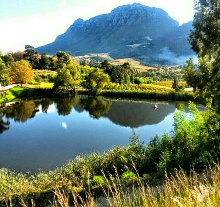 jamescapetown's tweet photo. @jettingaround A5 DEF @VandAWaterfront for gr8 views+#food, also @breestreetlife for small, hip restos, daytrip to winelands+BEACHES! 😁🌍💝✈ #JAchat #travel https://t.co/X3LdSAk1xG