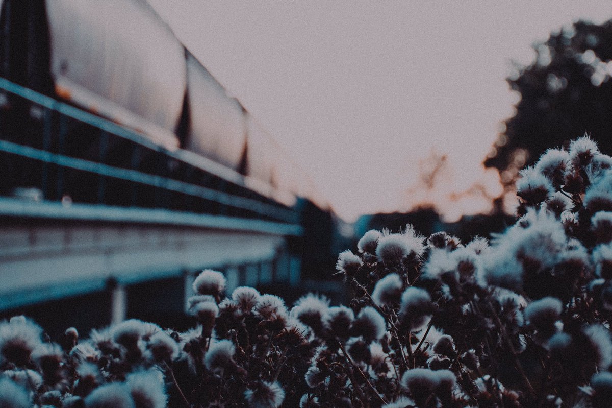 lostin_fargo's tweet photo. The only constant in Fargo, there will be trains https://t.co/kHiH5MiBtZ