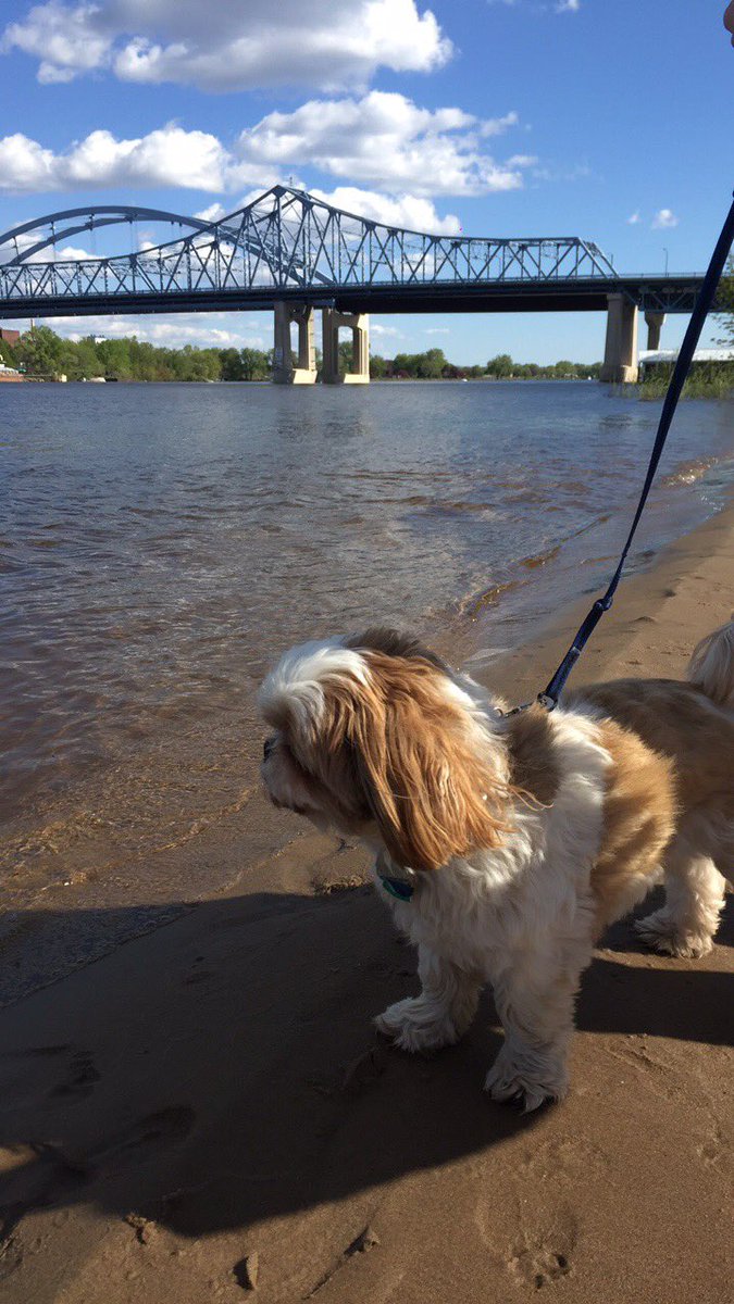 LexiHaag14's tweet photo. I miss having my sidekick in La Crosse with me https://t.co/LnHo8so4KY