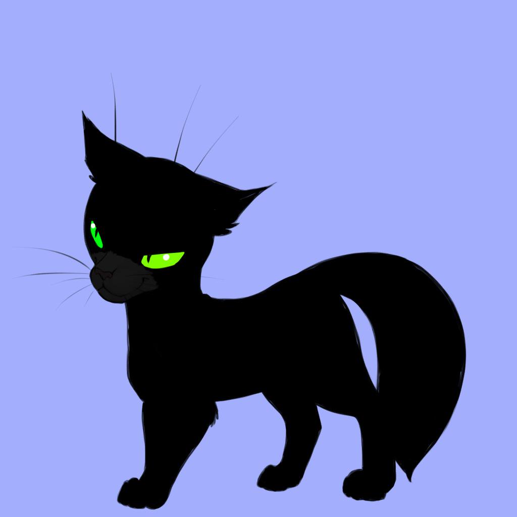 Коты Воители Черныш