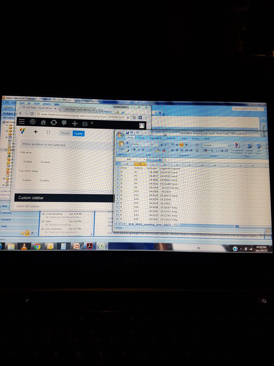 MeagAShark's tweet photo. As a #shark #scientist @SASC3 I spend a lot of time writing website code, checking data &amp; responding to emails. This is my #SharkWeek https://t.co/bBeNNBtELD