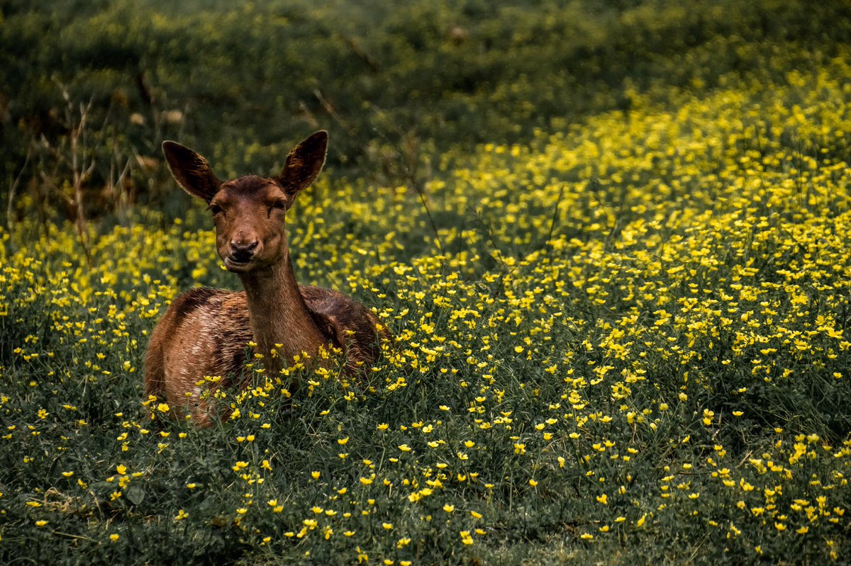 what did we do to deserve such beautiful creatures