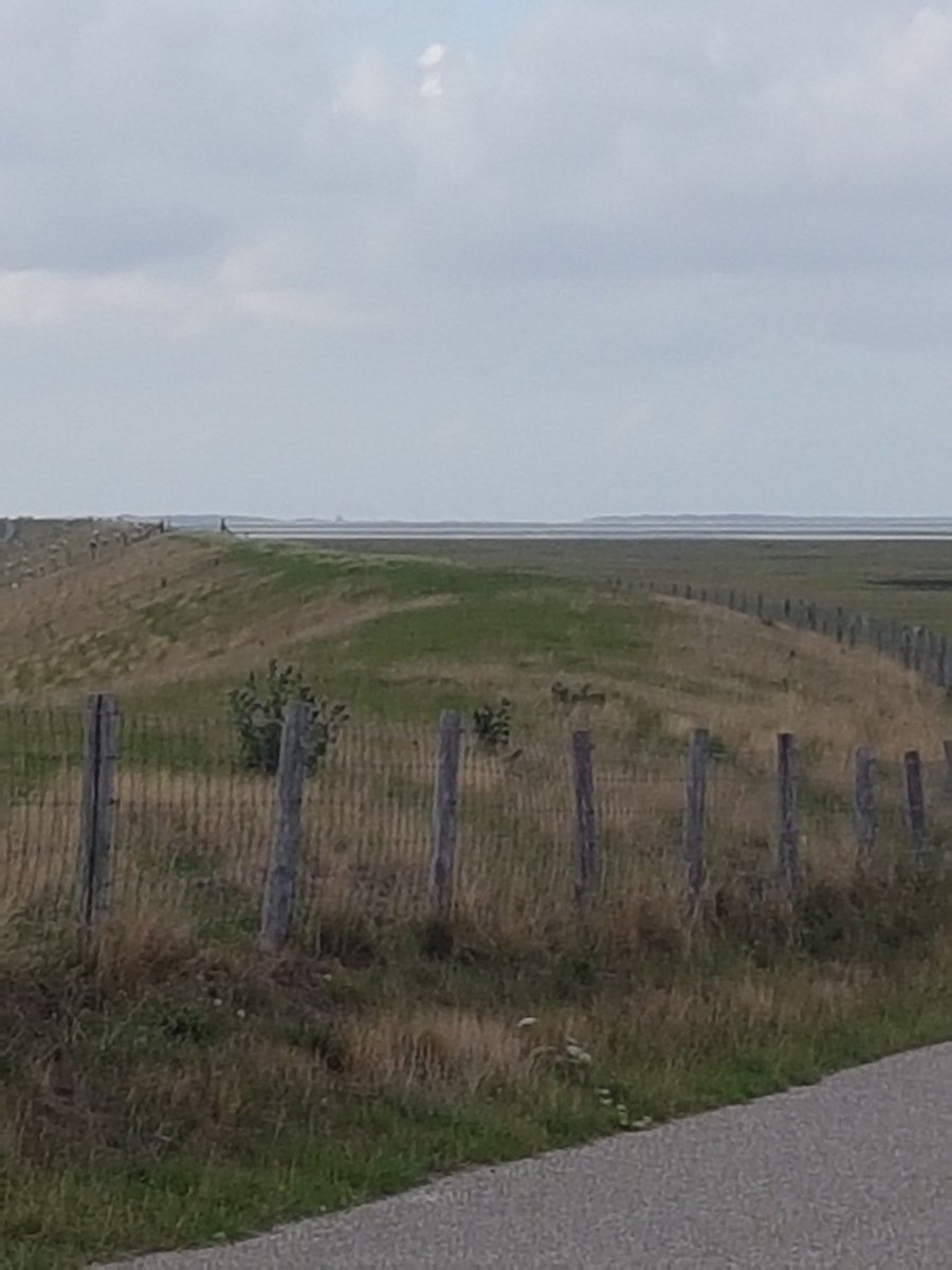Trainen voor #fietseninnicaragua #plannederland op het mooiste eiland en Vlieland op de achtergrond. Geen straf